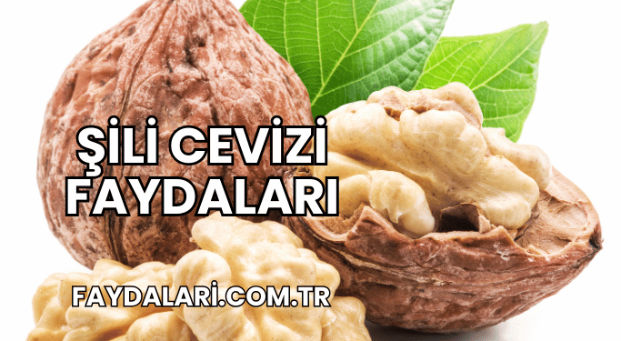 Şili Cevizi Faydaları