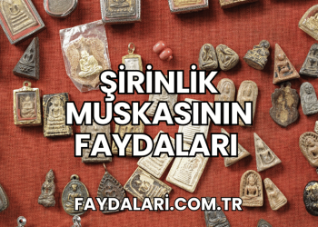 Şirinlik Muskasının Faydaları