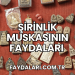 Şirinlik Muskasının Faydaları