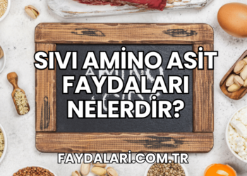 Sıvı Amino Asit Faydaları Nelerdir?
