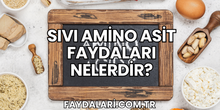 Sıvı Amino Asit Faydaları Nelerdir?