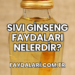 Sıvı Ginseng Faydaları Nelerdir?