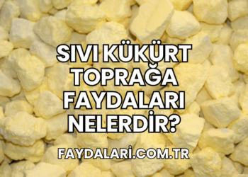 Sıvı Kükürt Toprağa Faydaları Nelerdir