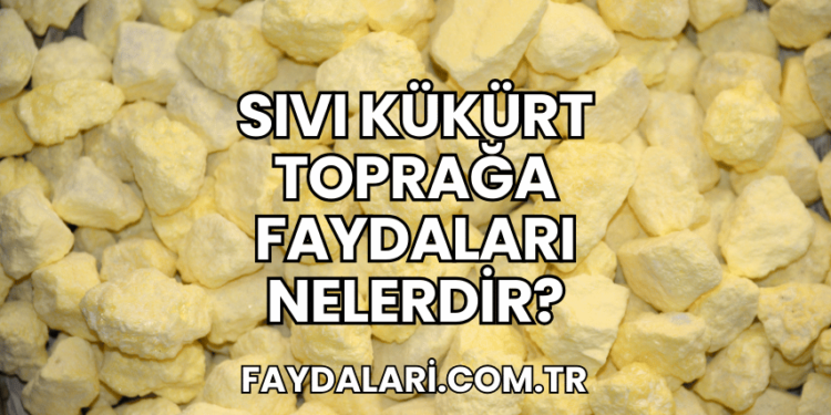 Sıvı Kükürt Toprağa Faydaları Nelerdir