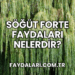 Söğüt Forte Faydaları Nelerdir?