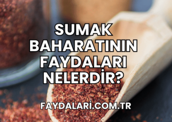 Sumak Baharatının Faydaları Nelerdir?