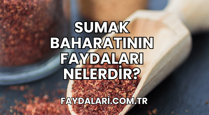 Sumak Baharatının Faydaları Nelerdir?