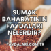 Sumak Baharatının Faydaları Nelerdir?