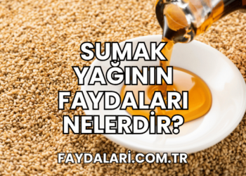 Sumak Yağının Faydaları Nelerdir?
