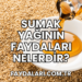 Sumak Yağının Faydaları Nelerdir?