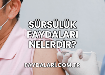 Sürsülük Faydaları Nelerdir?