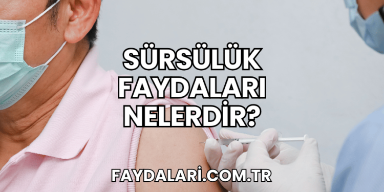 Sürsülük Faydaları Nelerdir?