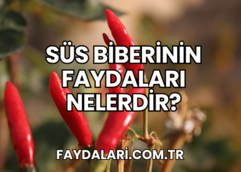 Süs Biberinin Faydaları Nelerdir?