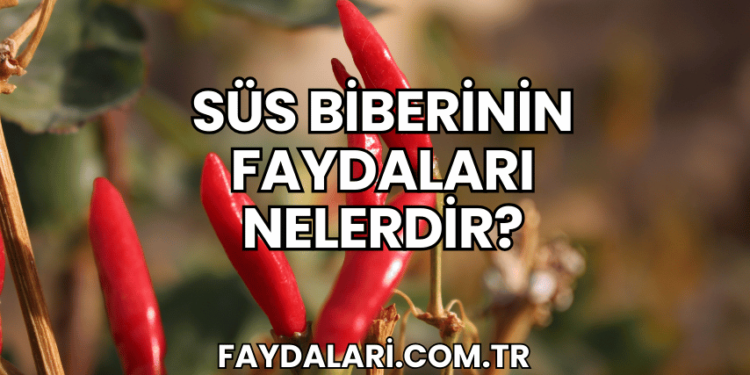 Süs Biberinin Faydaları Nelerdir?