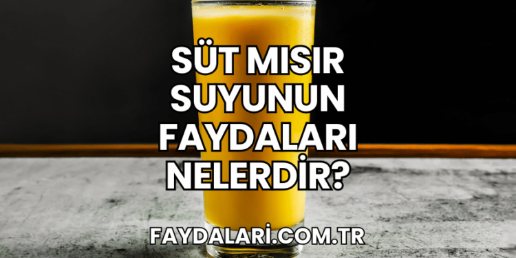 Süt Mısır Suyunun Faydaları Nelerdir?