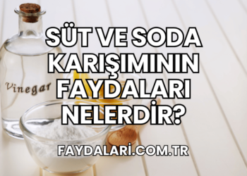 Süt ve Soda Karışımının Faydaları Nelerdir?
