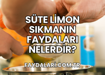 Sütün İçine Limon Sıkıp İçmenin Faydaları Nelerdir?