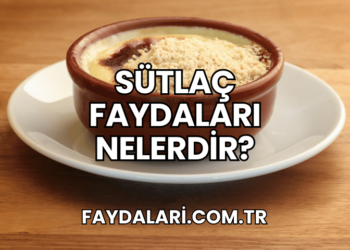 Sütlaç Faydaları Nelerdir?