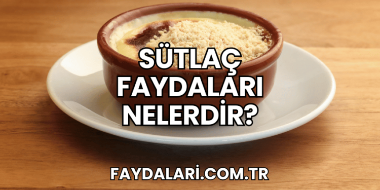 Sütlaç Faydaları Nelerdir?