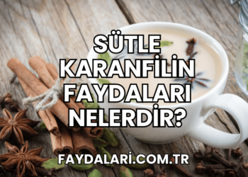 Sütle Karanfilin Faydaları Nelerdir?