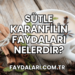 Sütle Karanfilin Faydaları Nelerdir?
