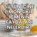 Sütün İçine Limon Sıkıp İçmenin Faydaları Nelerdir?