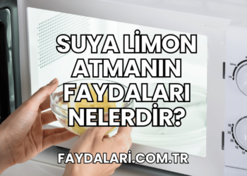 Suya Limon Atmanın Faydaları Nelerdir?