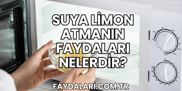 Suya Limon Atmanın Faydaları Nelerdir?