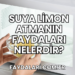 Suya Limon Atmanın Faydaları Nelerdir?