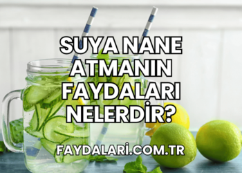 Suya Nane Atmanın Faydaları Nelerdir?