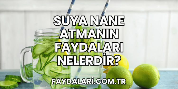 Suya Nane Atmanın Faydaları Nelerdir?