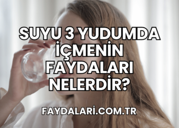 Suyu 3 Yudumda İçmenin Faydaları Nelerdir?