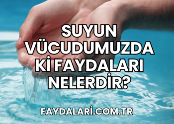 Suyun Vücudumuzdaki Faydaları Nelerdir?