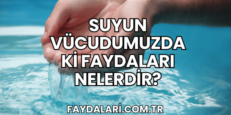 Suyun Vücudumuzdaki Faydaları Nelerdir?