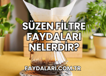 Süzen Filtre Faydaları Nelerdir