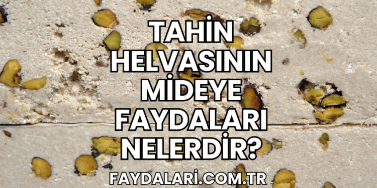 Tahin Helvasının Mideye Faydaları Nelerdir