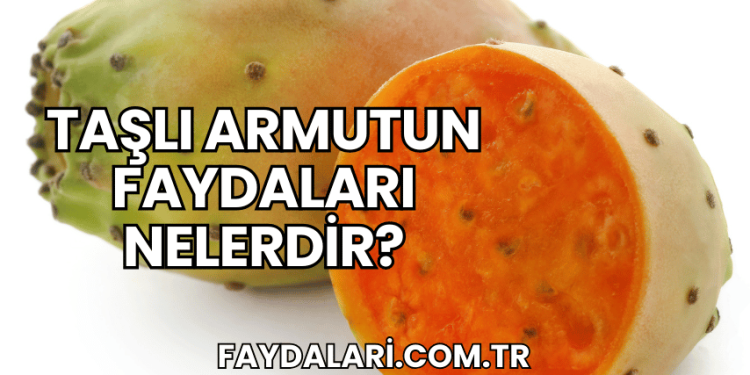 Taşlı Armutun Faydaları Nelerdir?