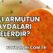 Taşlı Armutun Faydaları Nelerdir?