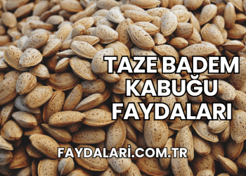 Taze Badem Kabuğu Faydaları