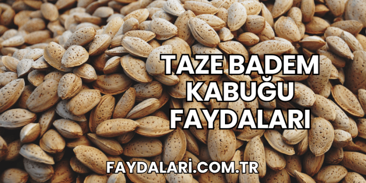 Taze Badem Kabuğu Faydaları