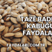Taze Badem Kabuğu Faydaları