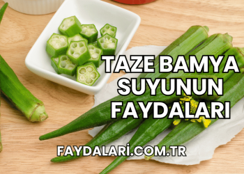 Taze Bamya Suyunun Faydaları