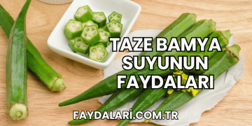 Taze Bamya Suyunun Faydaları