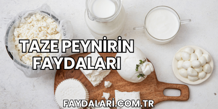 Taze Peynirin Faydaları