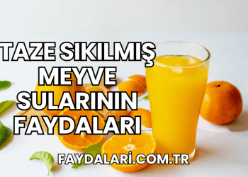 Taze Sıkılmış Meyve Sularının Faydaları