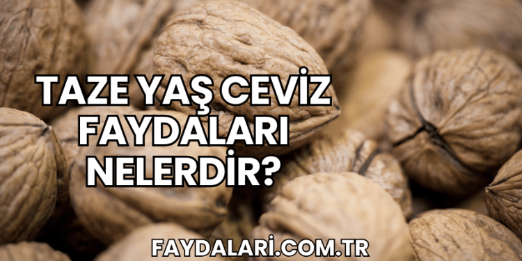 Taze Yaş Ceviz Faydaları Nelerdir?