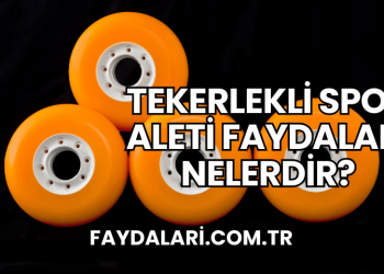 Tekerlekli Spor Aleti Faydaları Nelerdir?
