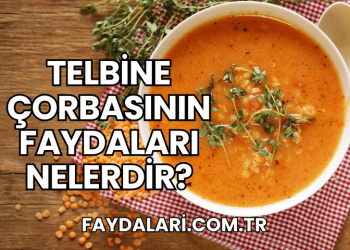 Telbine Çorbasının Faydaları Nelerdir?