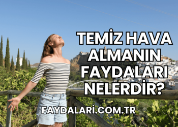 Temiz Hava Almanın Faydaları Nelerdir?