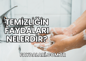 Temizliğin Faydaları Nelerdir?